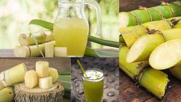 Nguồn ảnh: Internet