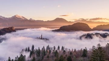 Vạn vật đều có sinh mệnh, mọi việc đều có định số