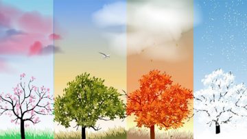 bức tranh xuân hạ thu đông