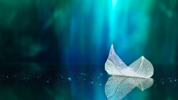 Buông bỏ những dục vọng để sống thoải mái hơn ( ảnh: shutterstock.com)