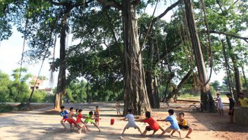 Cây đa cổ: quehuong.net