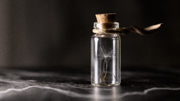 Vết thương do lời nói sẽ vĩnh viễn không lành