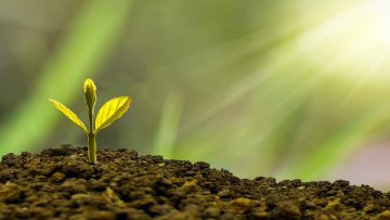 Phát triển kỹ năng quản lý tài chính cho trẻ từ khi còn nhỏ