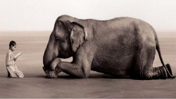 Điều quý giá sau những cái cúi đầu2