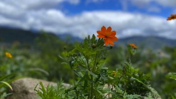 Cuộc sống trở nên có ý nghĩa từ việc cho đi 