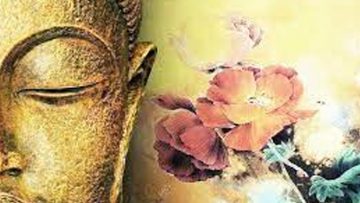 Nguồn ảnh: tinhhoa.net