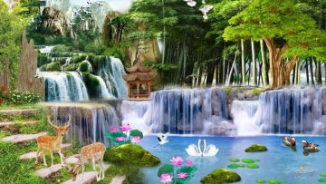 Phong thủy đẹp. Nguồn ảnh: shopfile