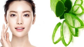 Sợ đào chộm mộ