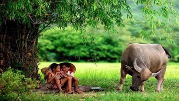 Nguồn ảnh: goctamhonho