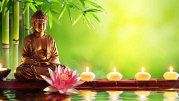 Nguồn ảnh: shutterstock.com