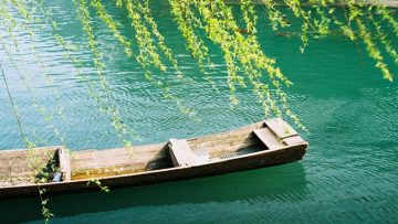 Nguồn ảnh: tinhhoa.net