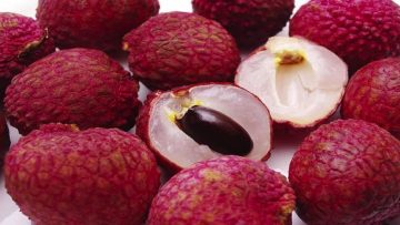 Tác dụng kì diệu của quả vải