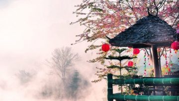 bietnhansinhhieuvanmenh