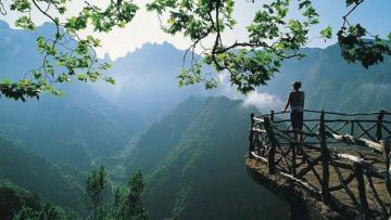 lam-nguoi-qua-met-moi-la-vi-ban-da-roi-vao-ba-cai-bay-nay-thumb