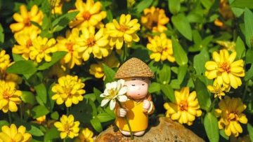 Đời người ‘phúc hoạ tương y’ – Số phận ắt sẽ an bài mọi thứ