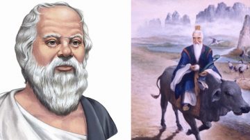 Nguồn ảnh: owlcation