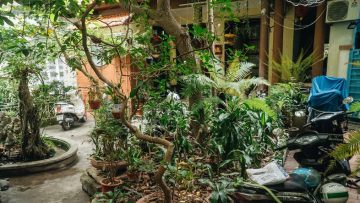 Ngôi nhà nép mình giữa ồn ào phố cổ, nhìn bên ngoài tưởng rằng chỉ 2 tầng, nhưng khi vào sâu khám phá, bạn sẽ đi từ bất ngờ này đến bất ngờ khác!. Nguồn ảnh: Kenh14