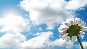 Hãy học cách trân trọng bản thân