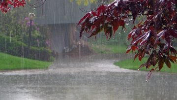 Dù thế gian thay đổi thế nào mưa vẫn rơi một chiều như thế