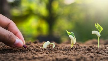 Lòng tốt cũng là một loại thần dược3