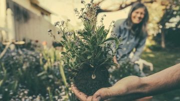 7 thói quen nâng cao tinh thần và sức khỏe của bạn