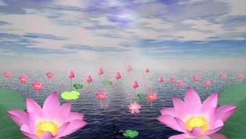 Nguồn ảnh: gocnhindkn