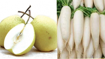 Thực phẩm tốt cho mùa dich