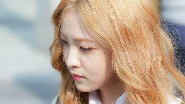 Nguồn ảnh: bloganchoi.