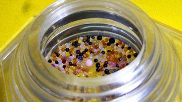 Hạt Xá lợi. Nguồn ảnh: giaoduc.net.vn