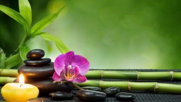 Nguồn ảnh: Nguồn ảnh: cafef.vn