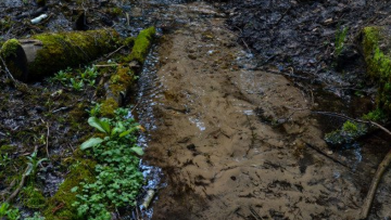 Ảnh minh họa. Nguồn ảnh: secretchina