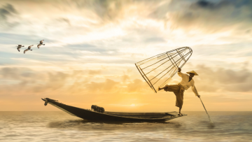 Biết đủ thường thấy an vui, không  tham lam thì nhân sinh luôn hạnh phúc