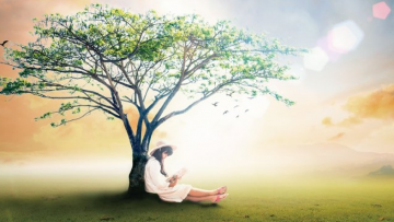 Đời người có 4 điều cần buông bỏ được bạn mới có thể hạnh phúc 