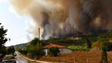 Nắng nóng tiếp tục gây ra hàng trăm vụ cháy rừng, các địa điểm Olympic của Hy Lạp cổ đại có nguy cơ biến mất