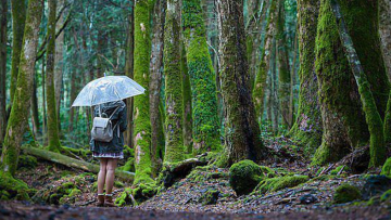 Vì sao nói: ‘Người tự sát là có tội?’