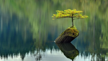 Mối quan hệ giữa kinh doanh và tu luyện-1