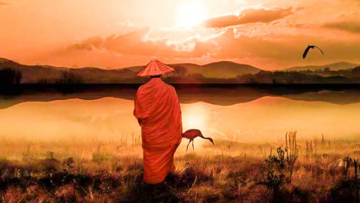 Người đang làm, trời đang nhìn