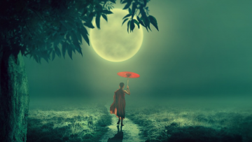 Chàng trai chứng kiến chuyện lạ đời và đi hỏi Đức Phật: Tại sao người xấu thì gặp may, người tốt lại gặp bất hạnh?  