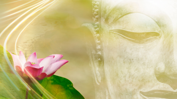 Khoa học đã chứng minh ‘nhân quả báo ứng’ là có thật