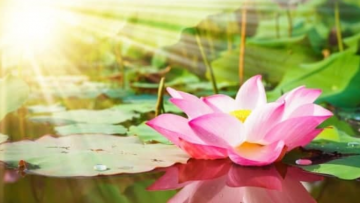 Những “thói quen tốt” giúp bạn gia tăng vận khí, phúc lộc dồi dào