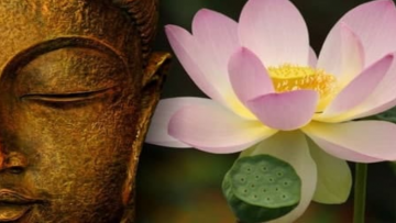 Lòng từ bi của Đức Phật