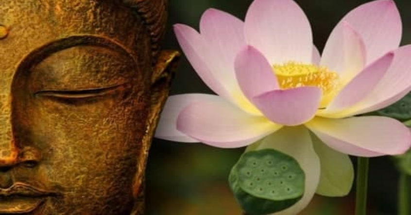 Lòng từ bi của Đức Phật