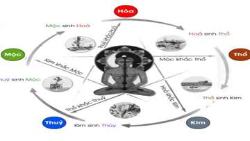 ngu-hanh-voi-con-nguoi. Nguồn ảnh: lamchame