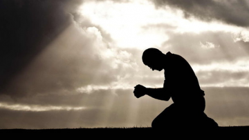 Quả báo. Nguồn ảnh: svconggiao.net