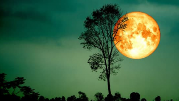 6 điều hối hận nhất trong cuộc đời, tránh được sớm ắt thành công-1