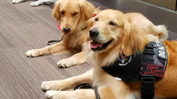 Không nên ăn thịt động vật quý hiếm vì bảo vệ cân bằng sinh học cho con cháu đời sau