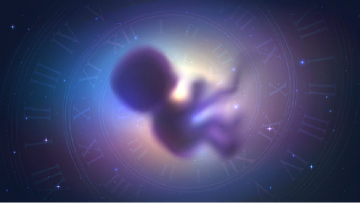 Ly kỳ chuyện Ông lão chuyển sinh thành đứa bé nhưng vẫn còn nhớ được quá trình đầu thai của mình-1