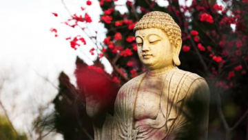 Tại sao không phải ai cũng có tướng mạo xinh đẹp, giàu có và tình yêu đích thực. Câu trả lời của Đức Phật khiến thế nhân tỉnh ngộ