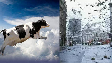 Những cơn mưa kỳ lạ trên Thế Giới