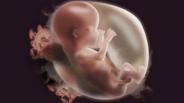 Linh hồn đứa bé kể lại nỗi thống khổ khi bị cắt lìa thân thể người mẹ phá thai. Oán khí ngút trời